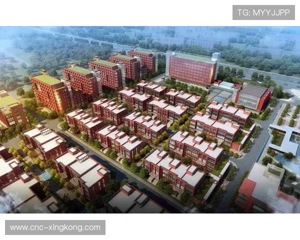 加的夫城整体回撤有序