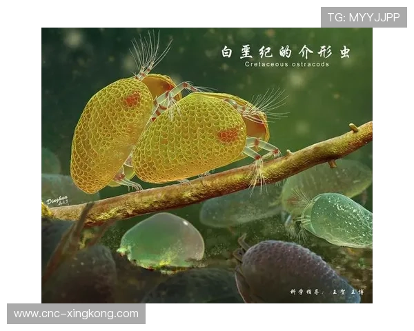世界纪录背后的训练故事与科学支持